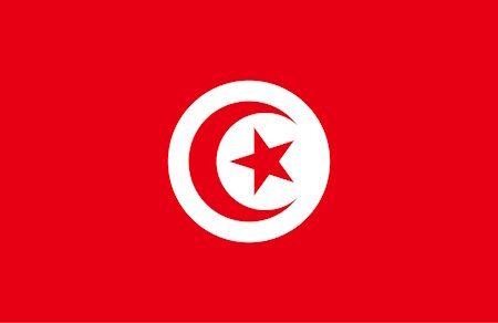 كازينو تونس: دليلك الشامل لعالم الكازينو أون لاين في تونس