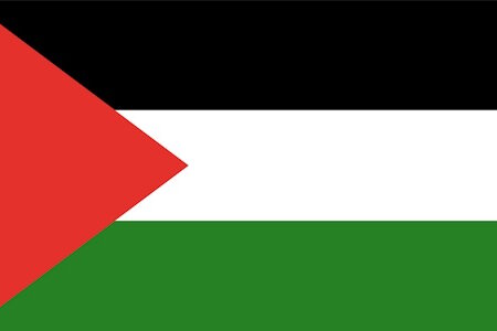 كازينو فلسطين: دليلك الشامل لعالم الكازينوهات أونلاين في فلسطين